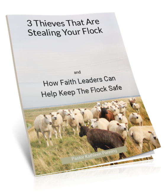 3 Thieves that are stealing your flock cover